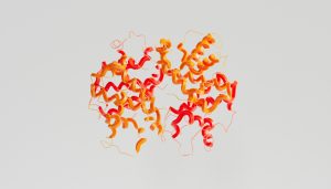 Les bienfaits de la glutamine