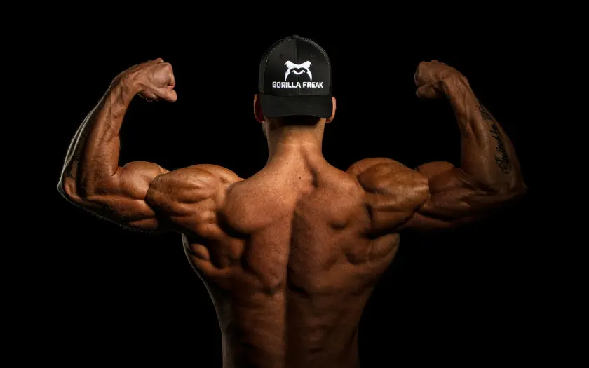 homme musclé de dos en flexion biceps, casquette gorilla freak, musculation